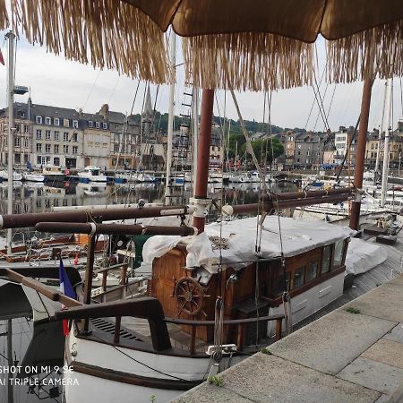 Proche Honfleur Gite Avec Piscine Équemauville Esterno foto