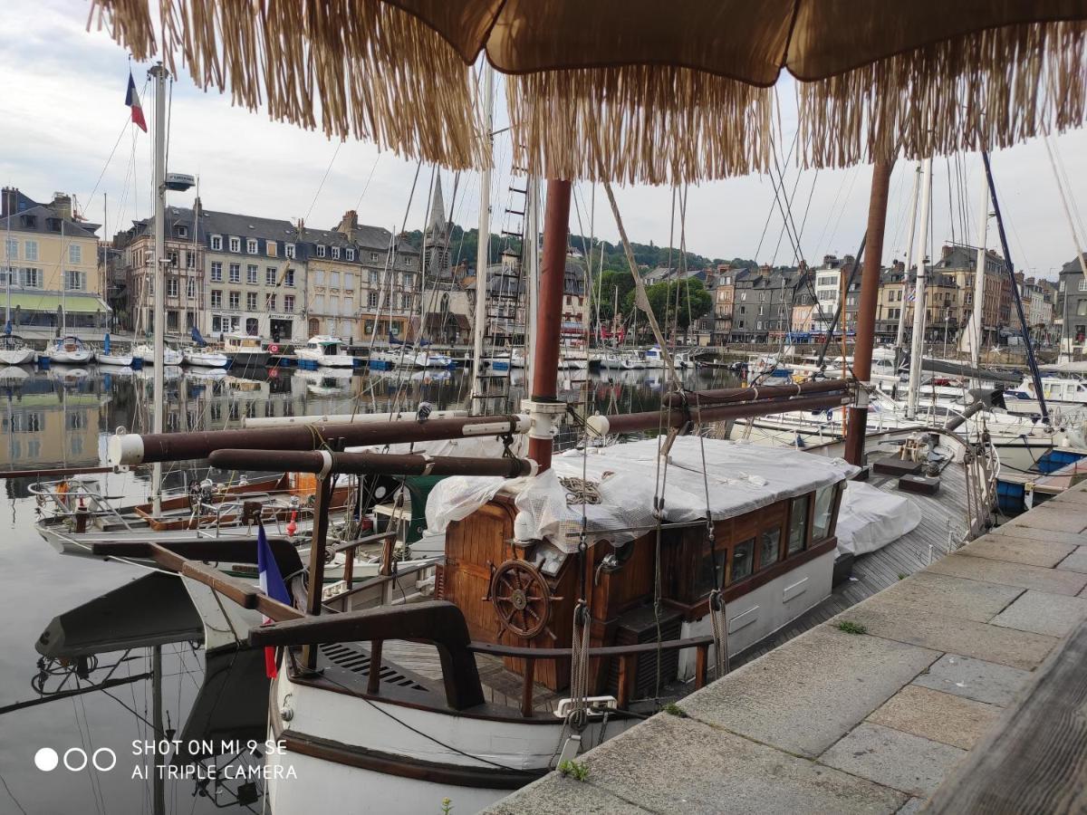 Proche Honfleur Gite Avec Piscine Équemauville Esterno foto